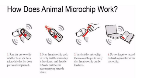 RFID PET MANAGEMENT