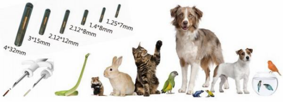 RFID PET MANAGEMENT