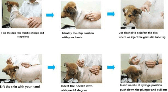 RFID PET MANAGEMENT