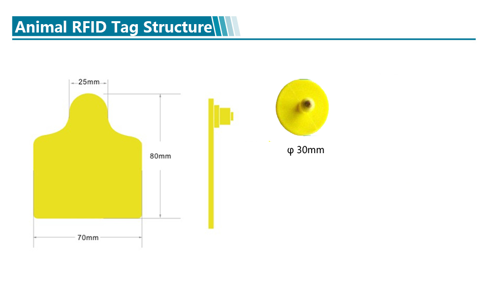 Hot Sales Animals RFID Tags for Livestock Management