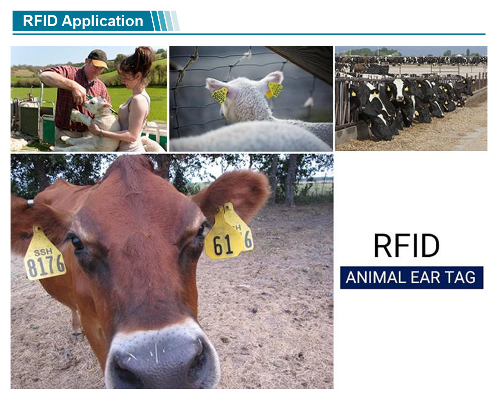 Hot Sales Animals RFID Tags for Livestock Management