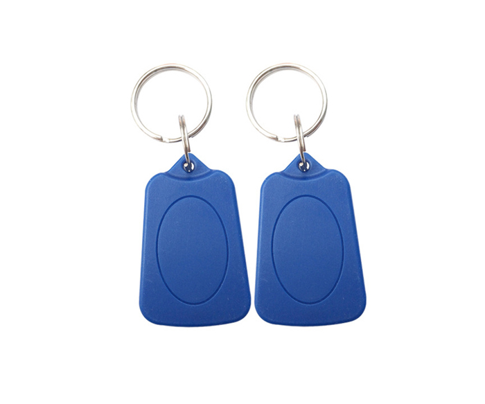 EM4200 Chip Low Frequency 125KHz RFID Key Tag