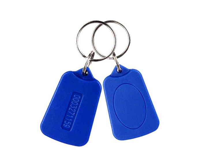 EM4200 Chip Low Frequency 125KHz RFID Key Tag