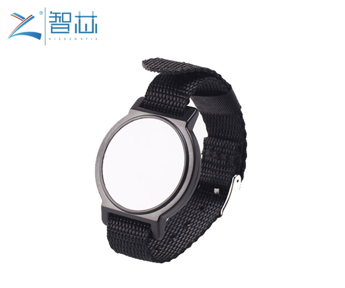 Gym Management EM4200 Plastic 125khz LF Wristband  