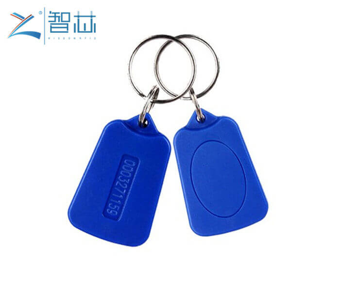 EM4200 Chip Low Frequency 125KHz RFID Key Tag 